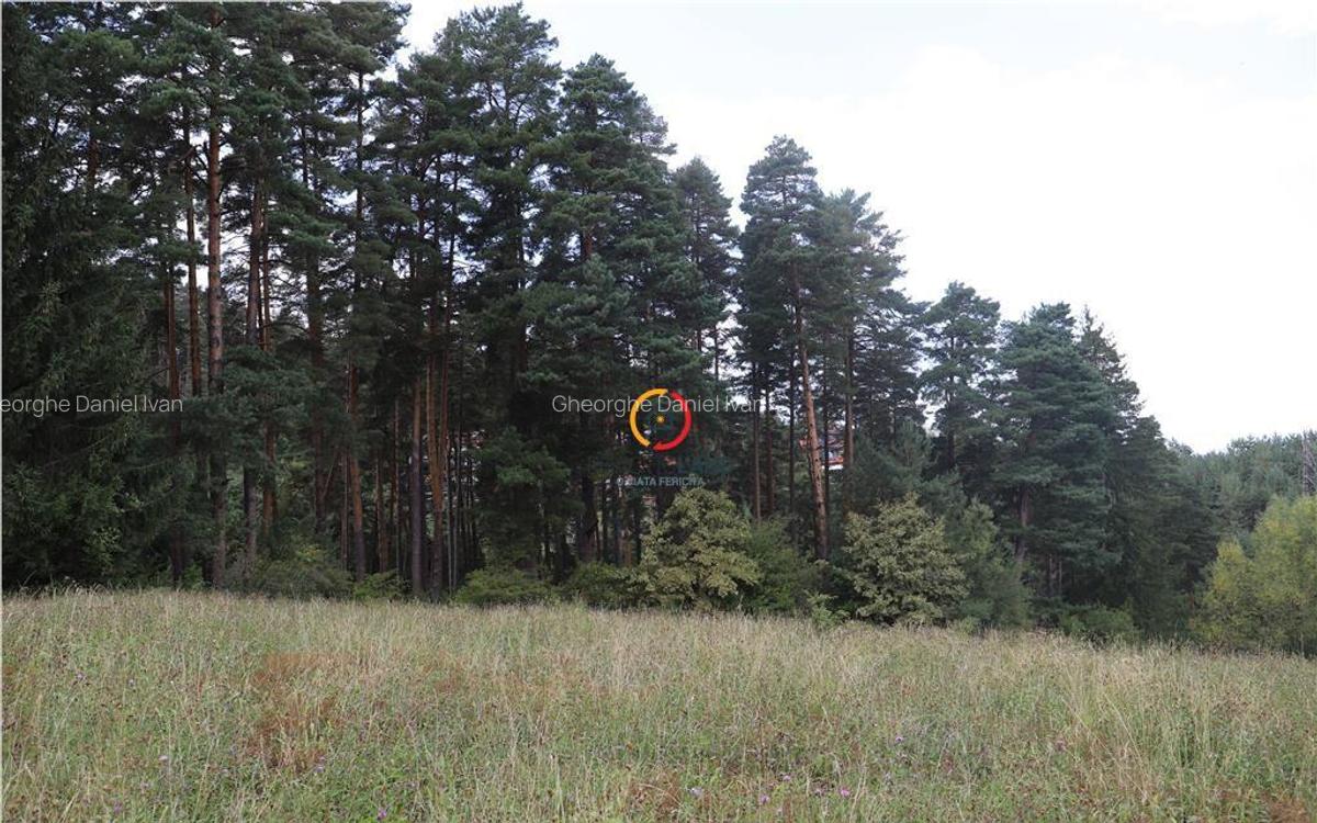 Teren intravilan cu PUZ si PUD 2 loturi - 4