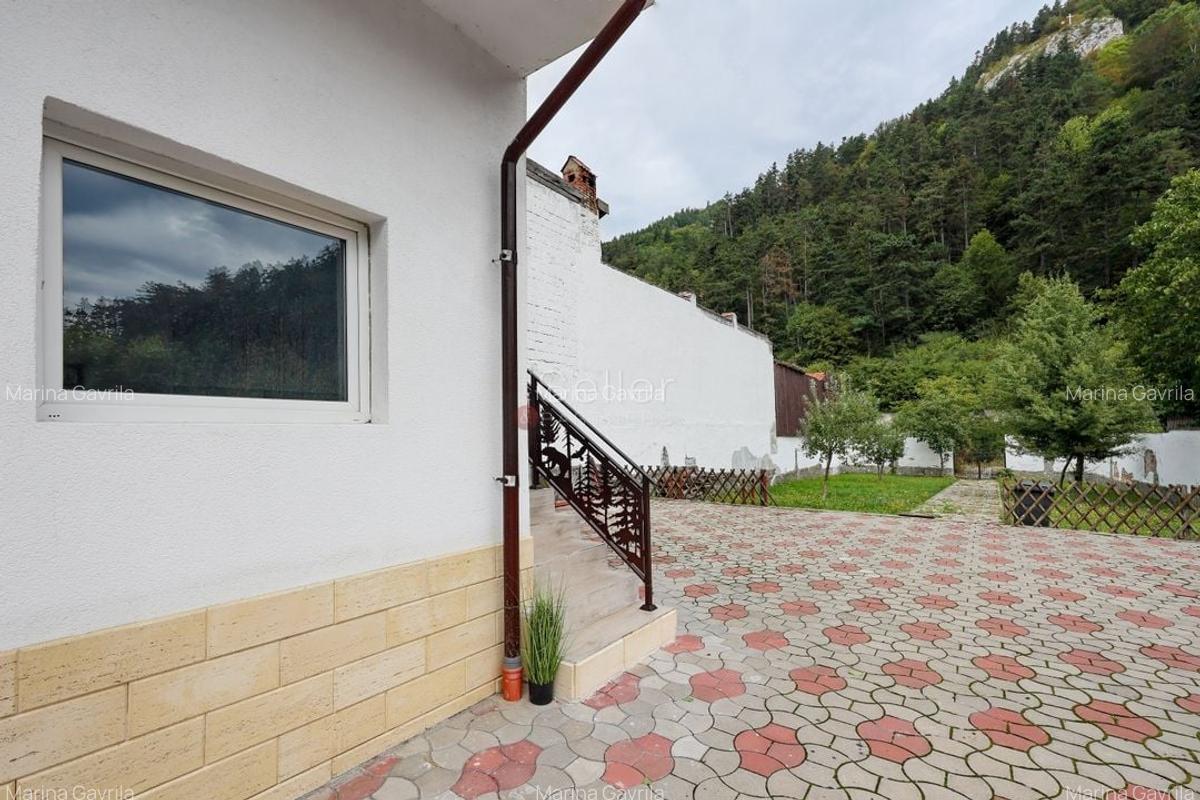 Proximitate imediata fata de Castelul Bran - 36