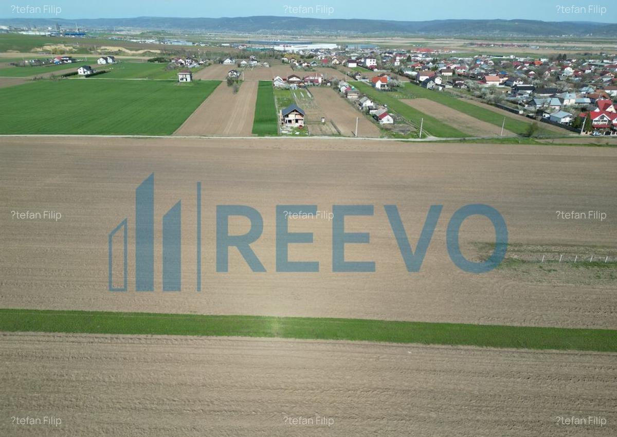 Teren de vanzare, Com. Nicolae Balcescu, Jud. Bacau - 6 Teren de vanzare, Com. Nicolae Balcescu, Jud. Bacau - 6