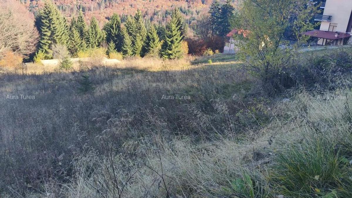 Teren intravilan -Predeal-Paraul Rece - 3