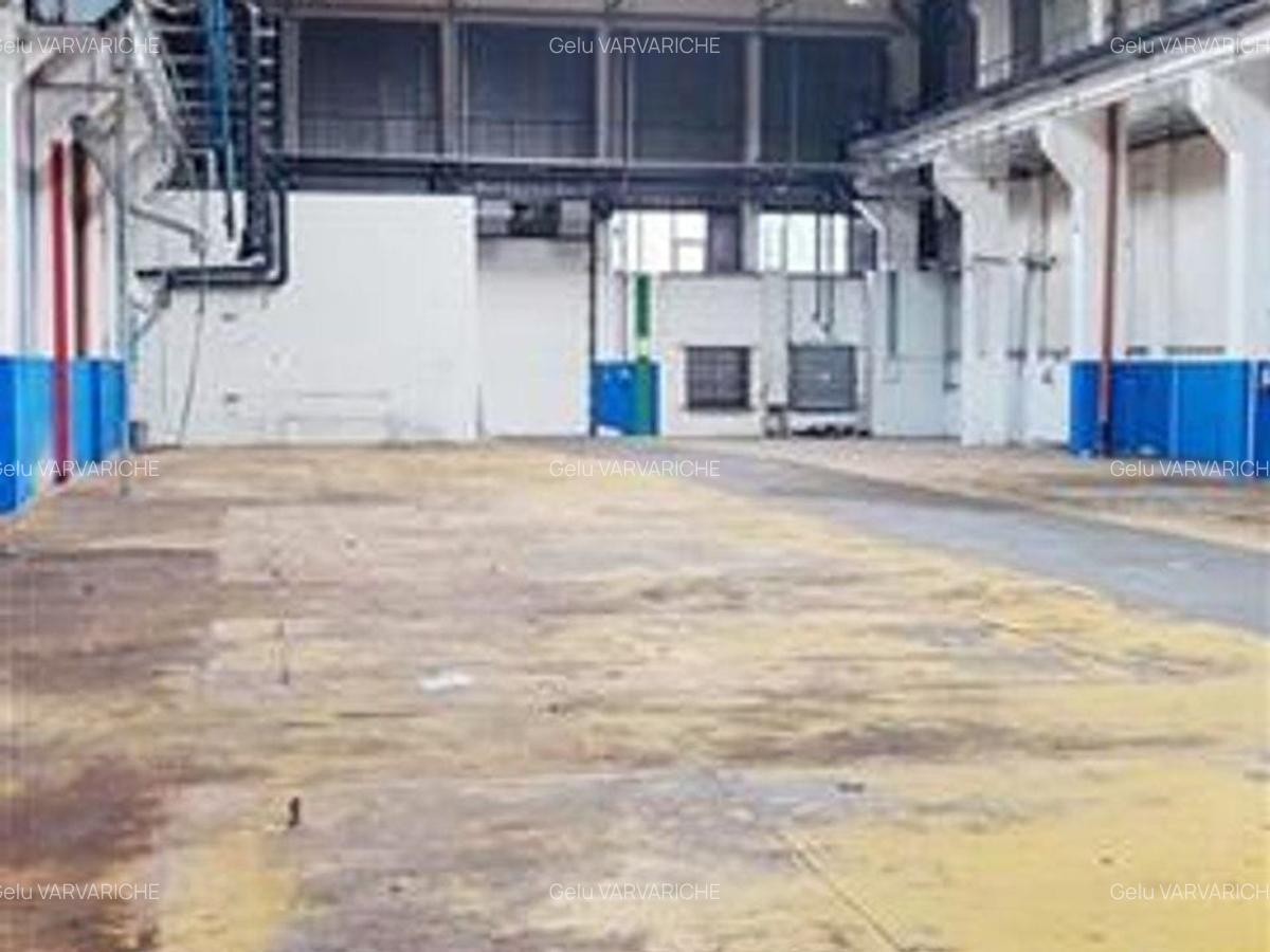 Hale in parcul Roman sau tractorul - 3