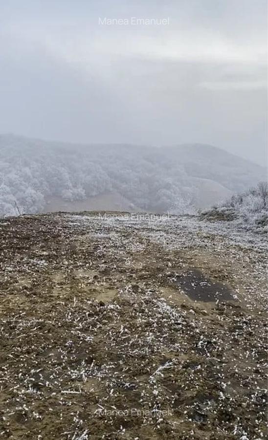 Teren intravilan ,1.000 mp , zona Str Salcamului - 2