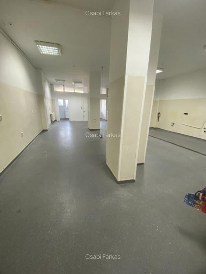 Spatiu comercial, 286mp, zona Calvaria - 2