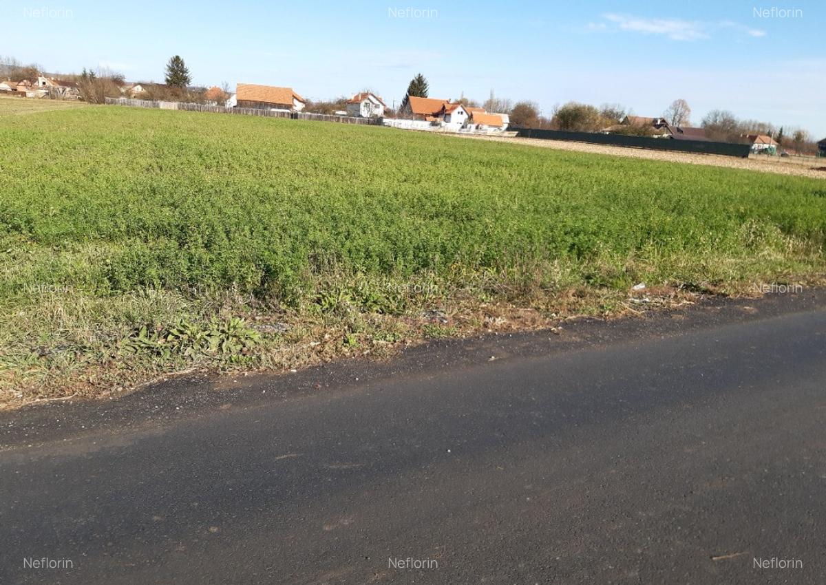 Vanzare teren intravilan construibil Lunca Calnicului - 6