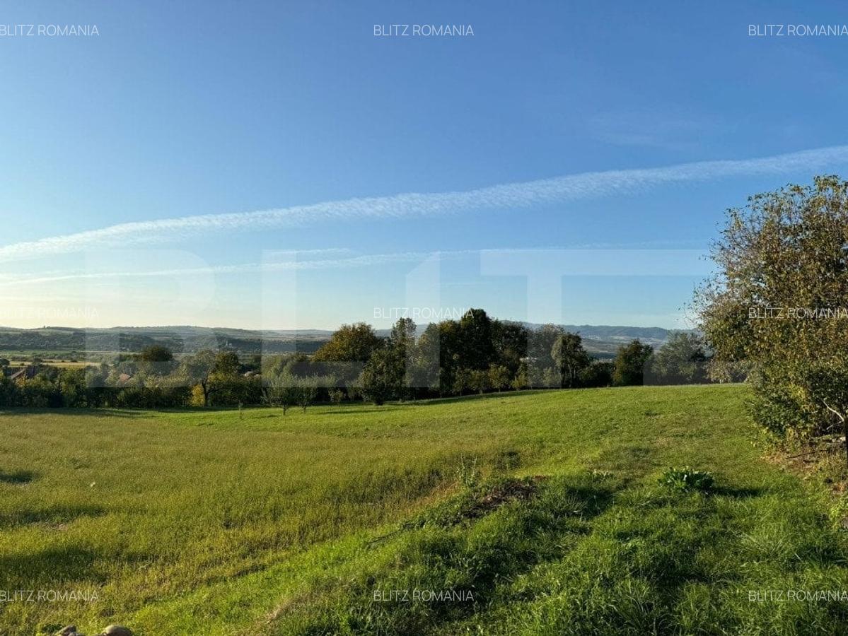 Casa in Alunis, 10.000 mp de teren, cu vie si livada, vedere panoramica - 4