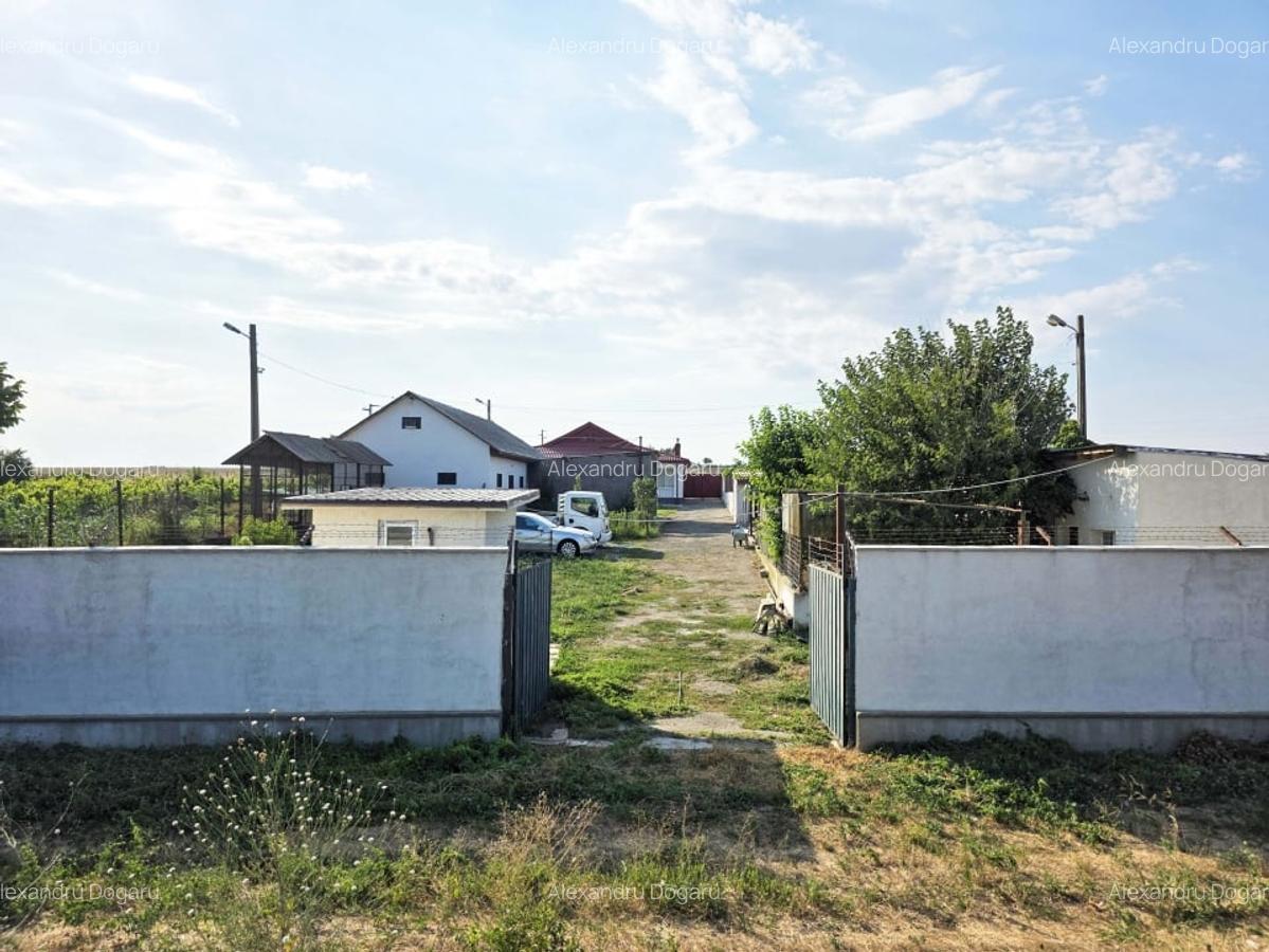 Ferma de vanzare – Oportunitate unica la doar 20 de minute de Constanta! - 1