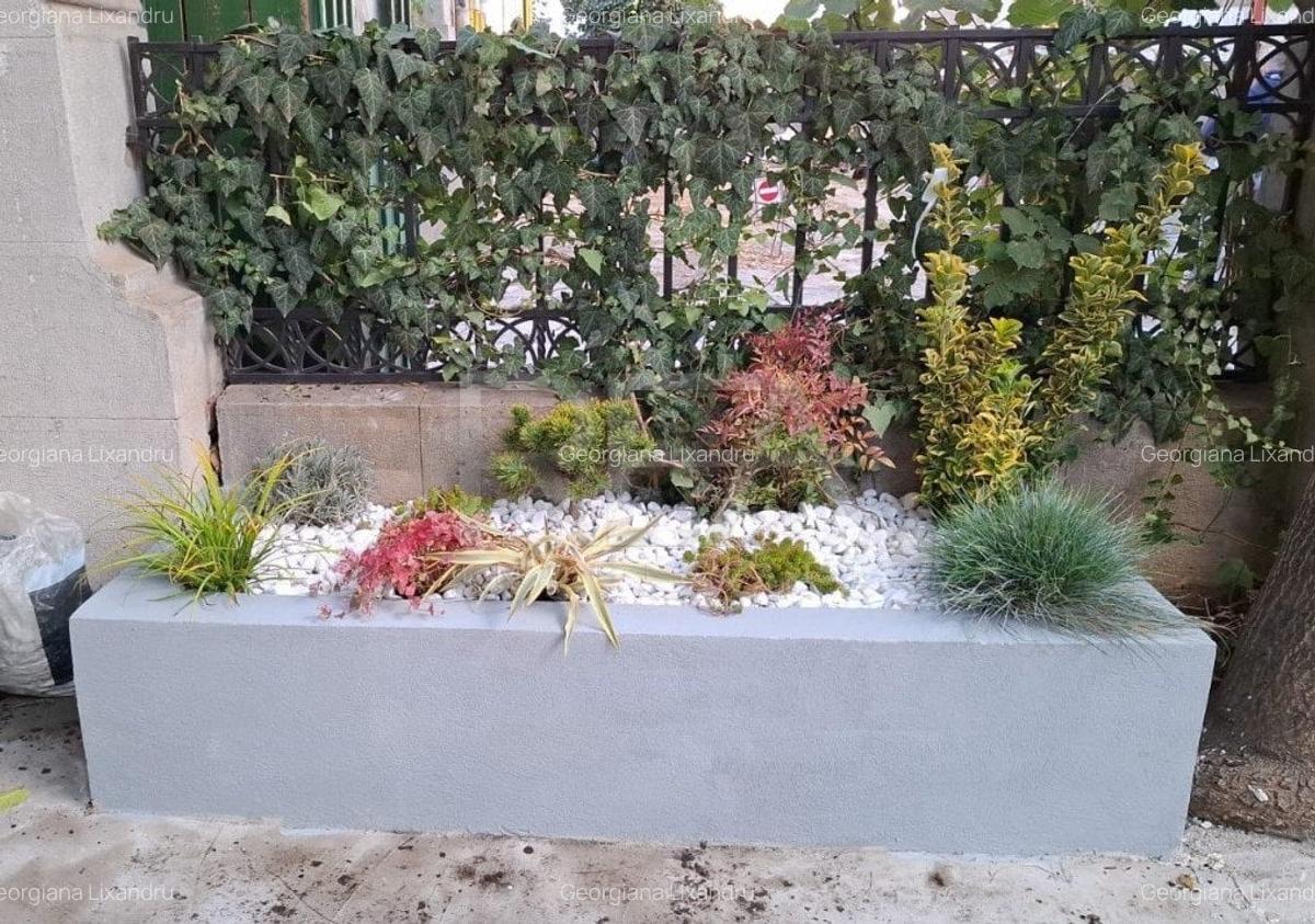 5 camere + loc parcare | Vila interbelica | Calea Dorobanti - 17