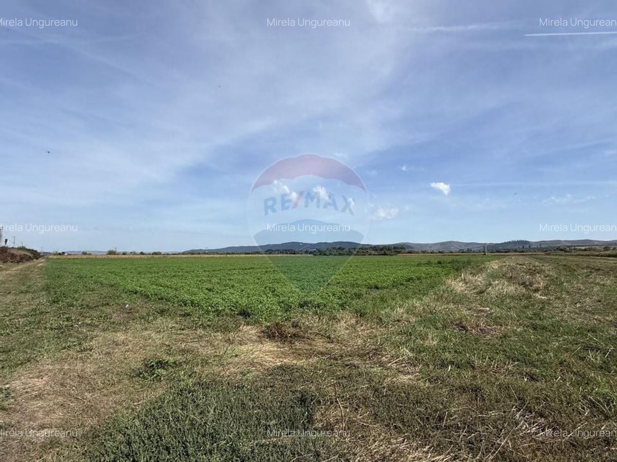 Teren Investitii 2.5 Ha | Zona Tetarom III Rascruci - 5