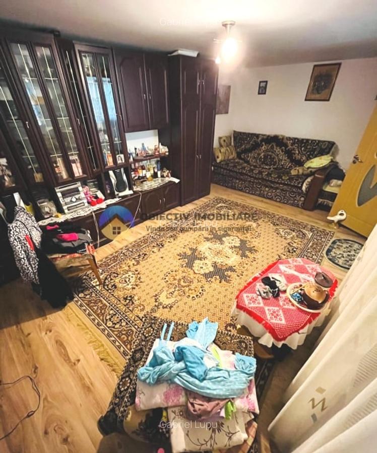 CASA + HALĂ  comuna ALEXANDRU cel BUN - 11