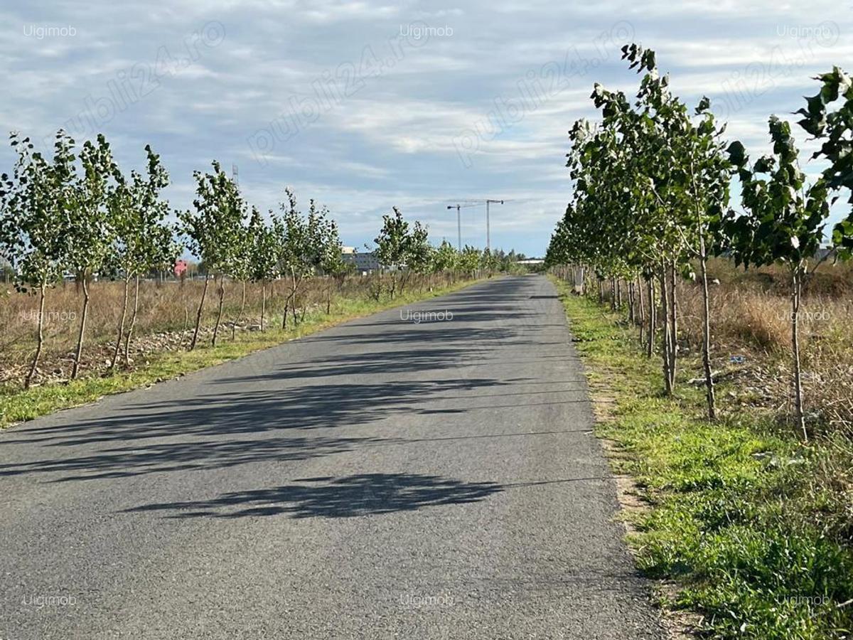 Titan - Policolor - str. Drum Gura Solcii, intravilan 3000 mp - 8