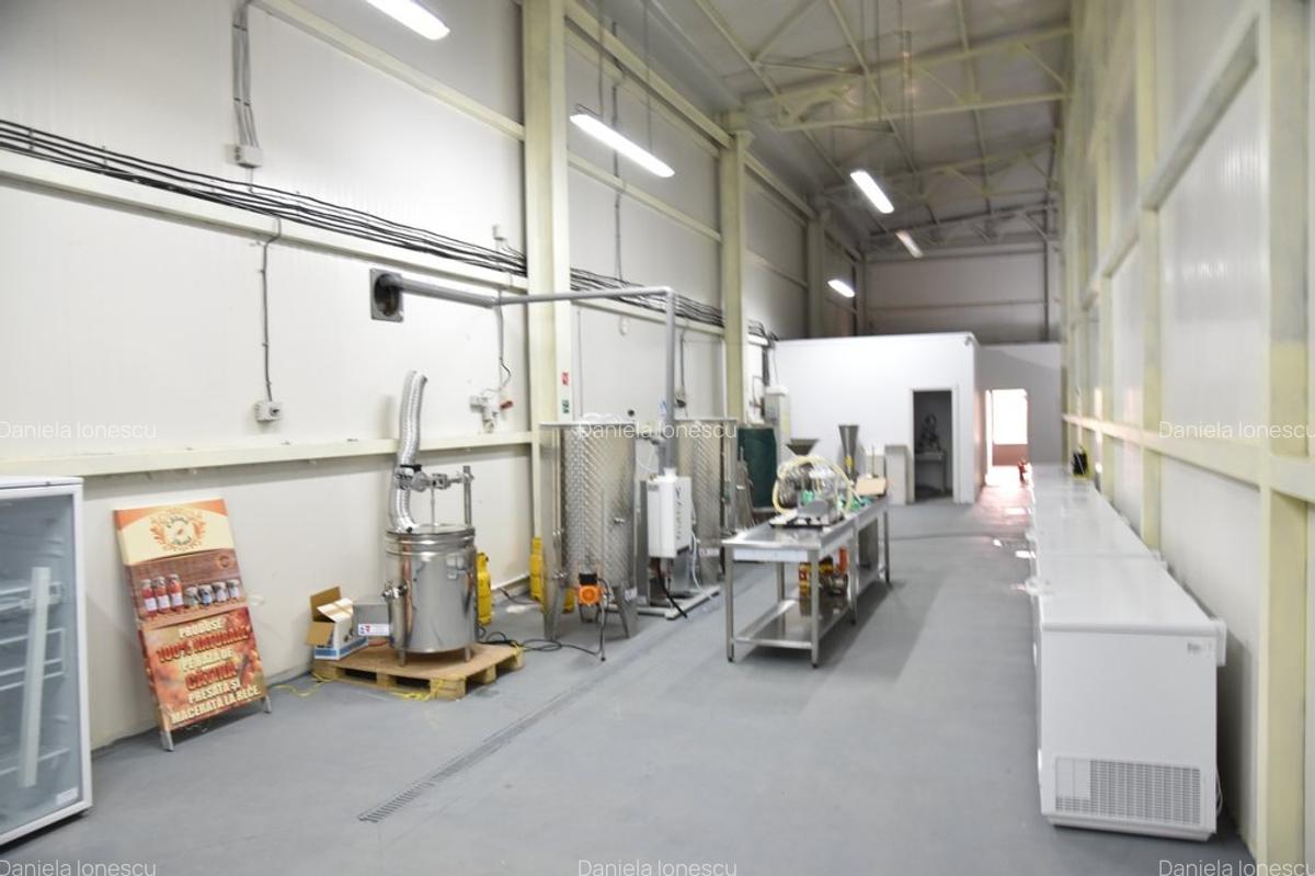 Spațiu Depozitare Industrial -  Depozitare/Refrigerare, Constructie metalica - 3