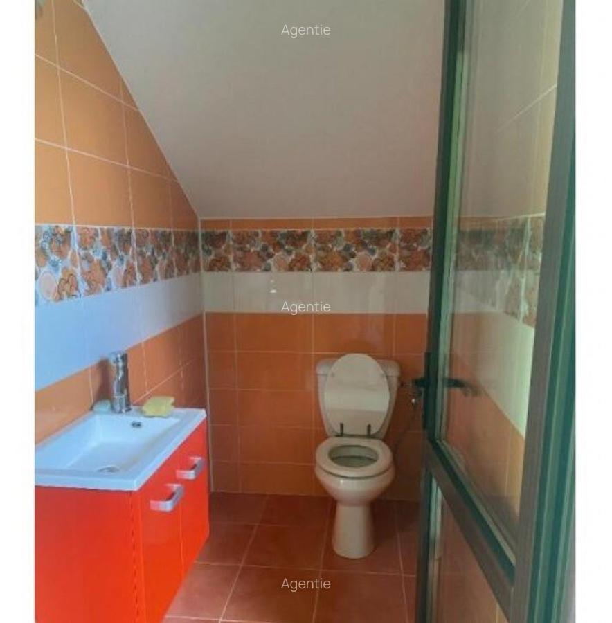 Inchiriere Vila P+1+M in Jilava - 7