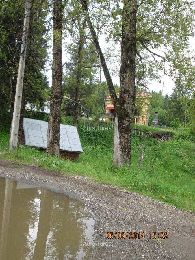 Teren intravilan in Predeal,Valea Rasnoavei - 3