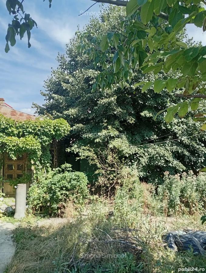 Casa de vanzare - 3 Casa de vanzare - 3