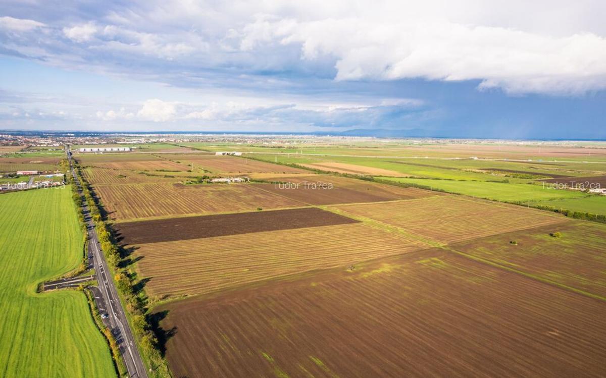 Teren de 100000 mp in Arad - 2 Teren de 100000 mp in Arad - 2