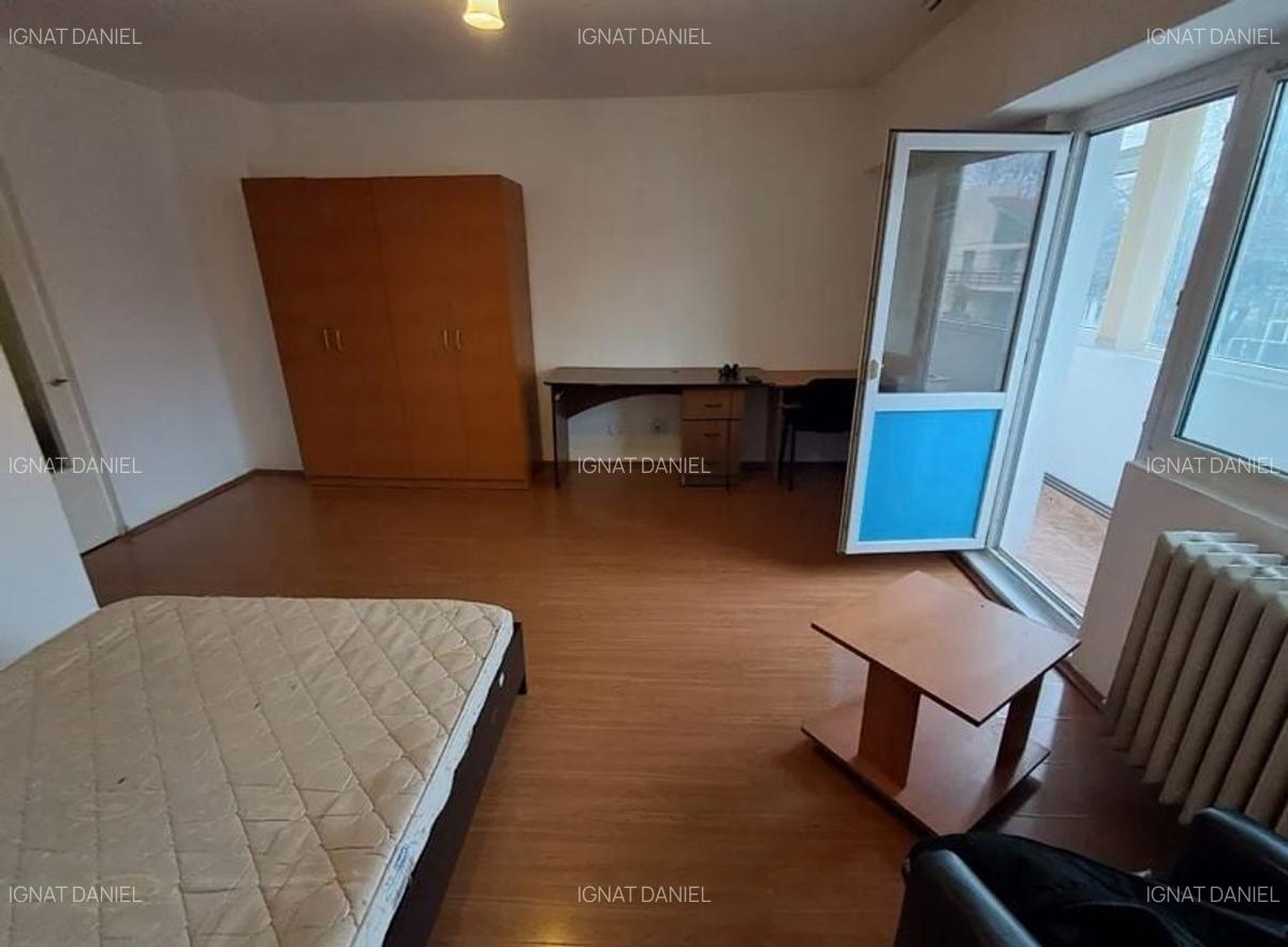 Apartament cu 1 camera, PET FRIENDLY, zona Tatarasi - 3