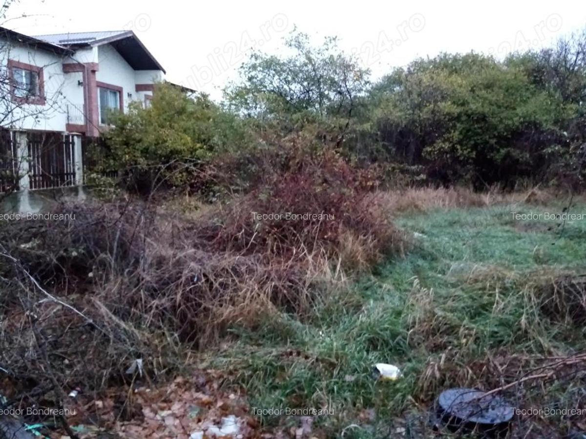 TEREN Constructii-Impresionant-Chiajna-Utilitati - 1