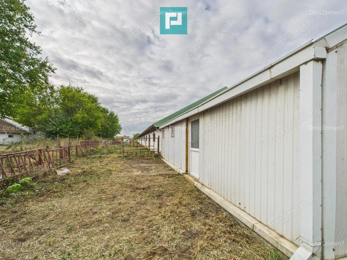 Hala pentru produc?ie / ferma zootehnica - Varia? - 16