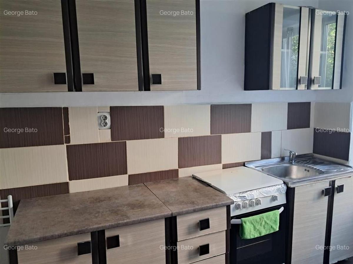 Apartament cu 3 camere decomandat în Nufărul - 2