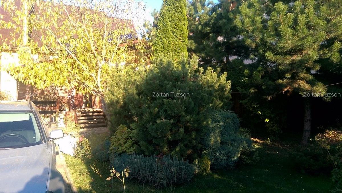 Hotel/Pensiune, 680 mp în Săcele - 11