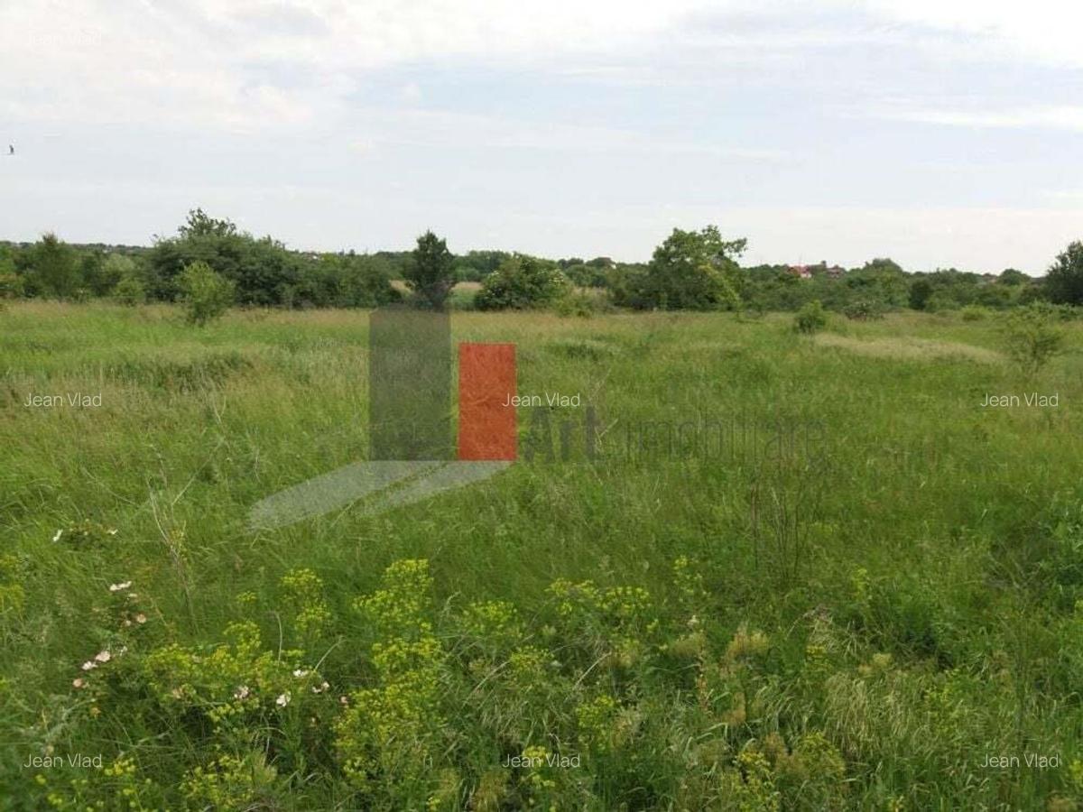 Teren Buftea cu iesire la lac - 15