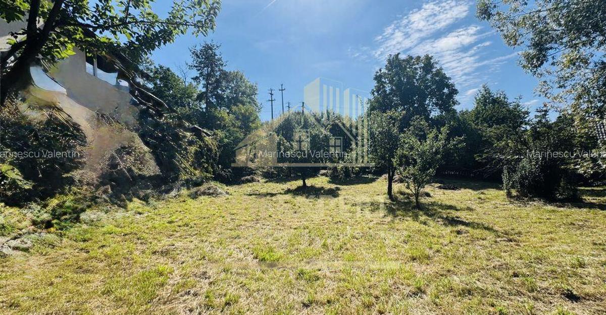 TEREN INTRAVILAN 3234 MP LERE?TI VOINE?TI ARGE? - 9