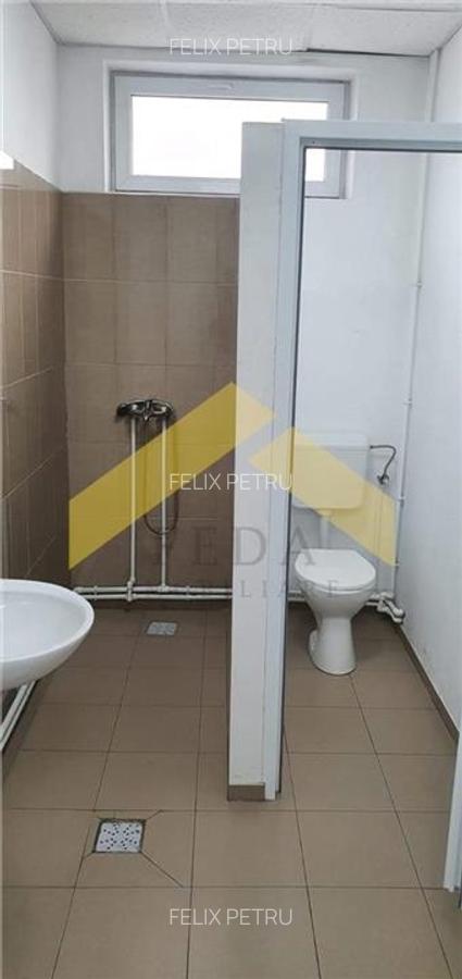 De vanzare doua hale pe un teren imprejmuit 9000 mp zona Gai - 29