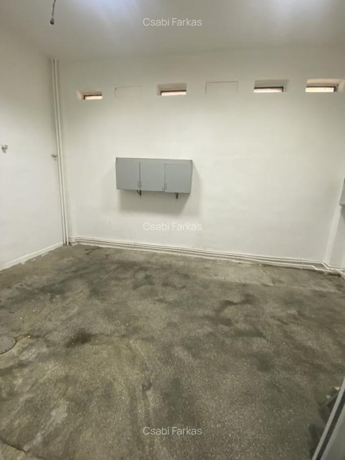 Spatiu comercial, 286mp, zona Calvaria - 7