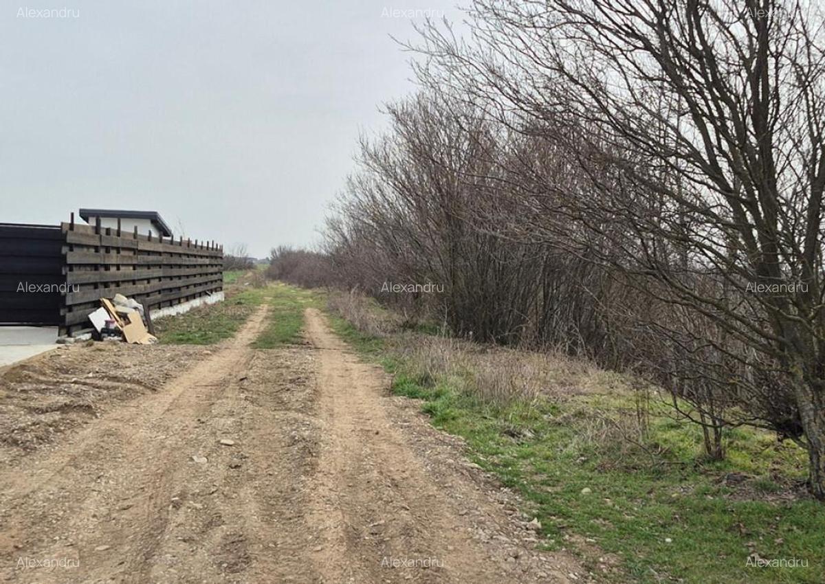 Teren intravilan ieftin Balotesti, 1100 mp, 25000 euro - 4