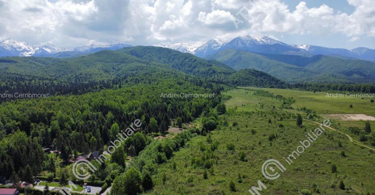 Teren intravilan 1000 mp de pe Valea Avriguluiu - 1