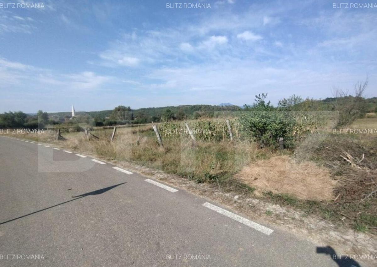 Casa 160mp utili+anexe+teren 67 ari intravilan,10 km distant - 11