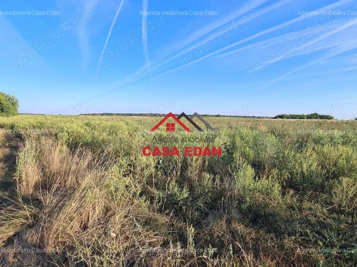 Teren extravilan in Urleta--5000m--18.500e - 5