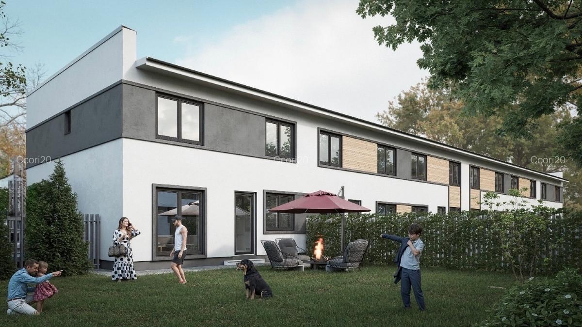 Vile insiruite Metrou Raul Doamnei - 1