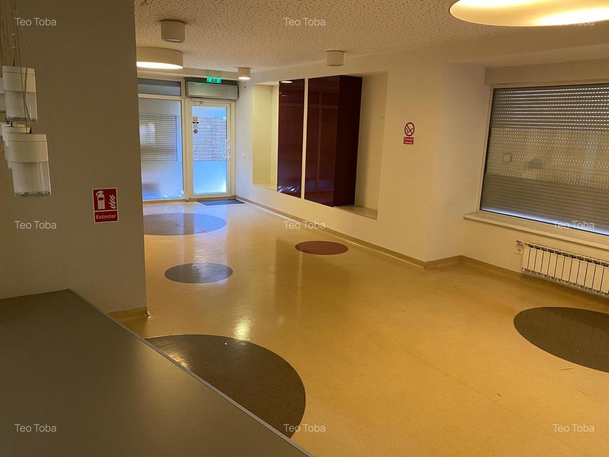 Inchiriere spatiu comercial P+1  230mp curte terasa ideal investitie Aviatorilor - 3