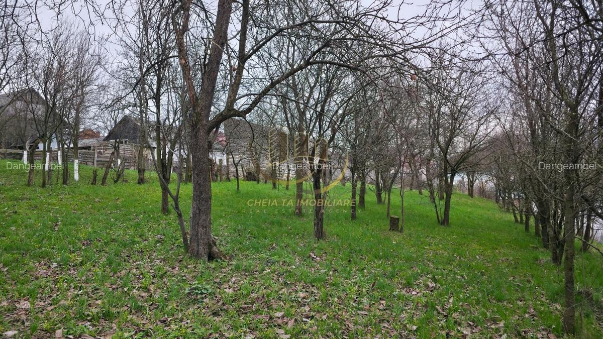 Oportunitate unică în Sâncraiu/Huedin: Casă cu teren generos de 2270 m - 9