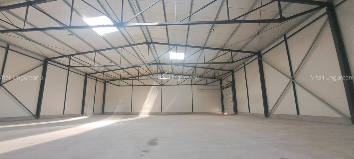 Drumul intre Tarlale, sector 3, hala 1180 mp - 6