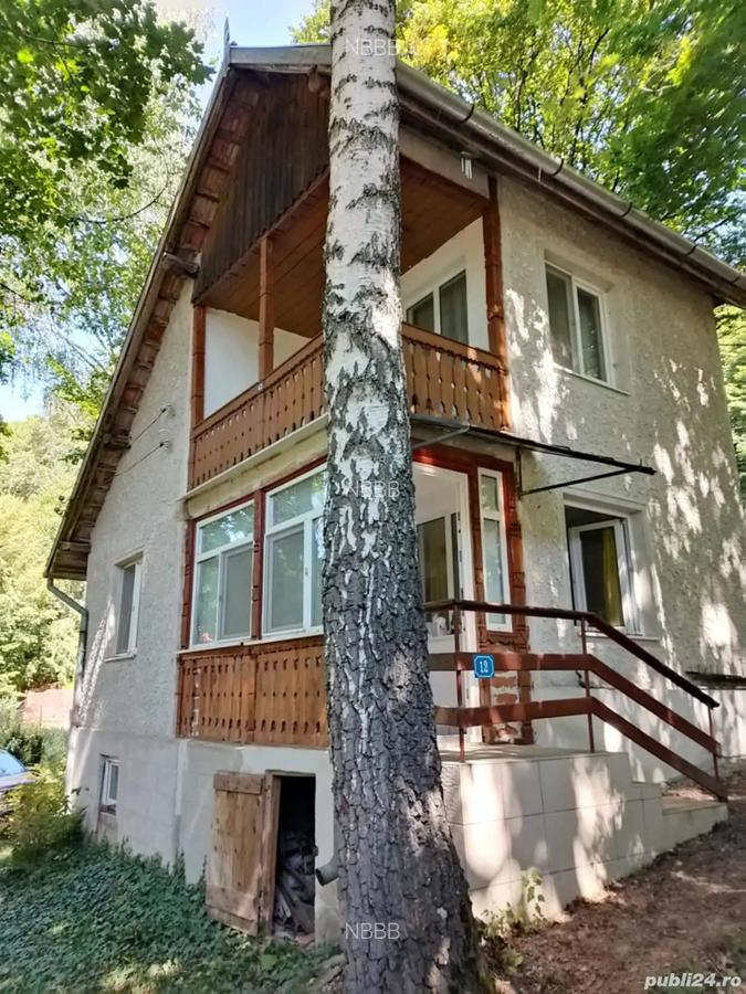 Vila de vacan?a de vanzare in Baile Balvanyos - 1