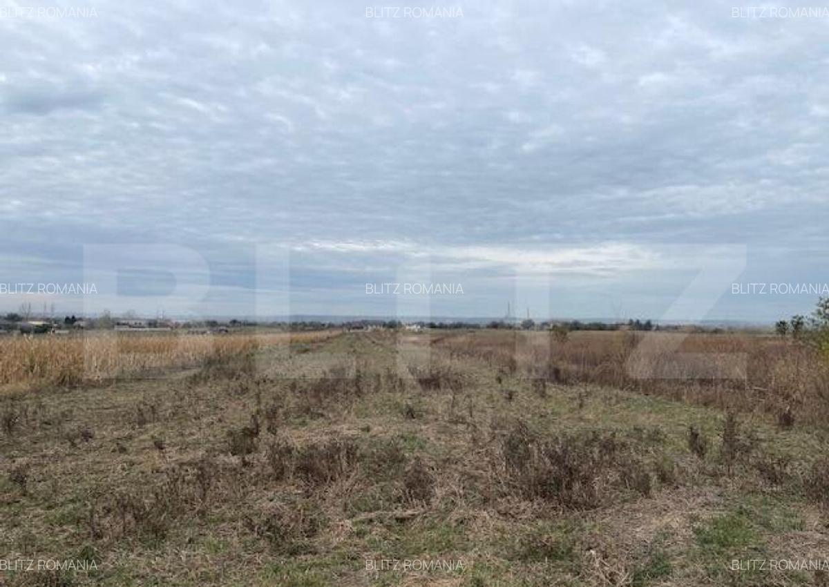 Teren extravilan de 2539 mp in Dudovicesti - 1