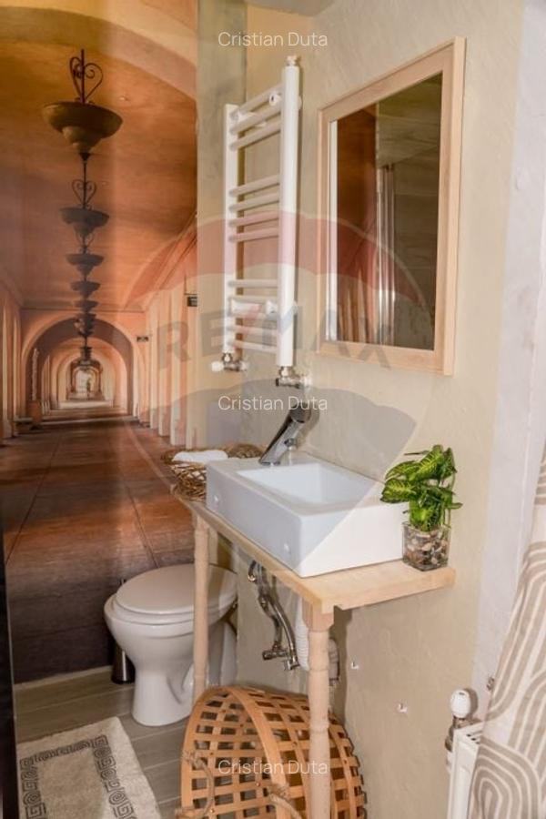 Apartament cu 2 camere de inchiriat in zona Ferdinand - 17