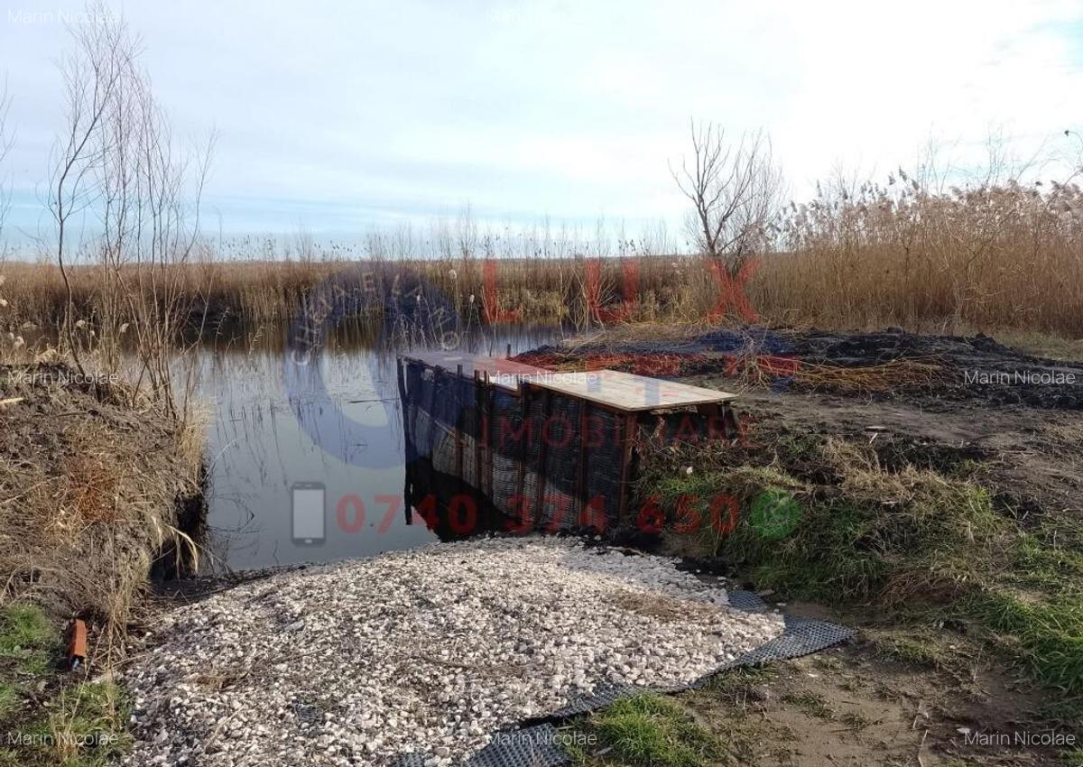 ID 7809 Teren intravilan in DUNAVA?U DE SUS - 1