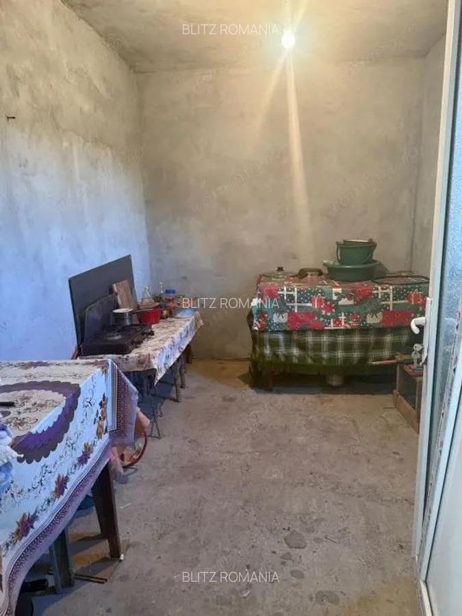 Casa 133 mp utili, 3300 mp teren, Ciutura - 10