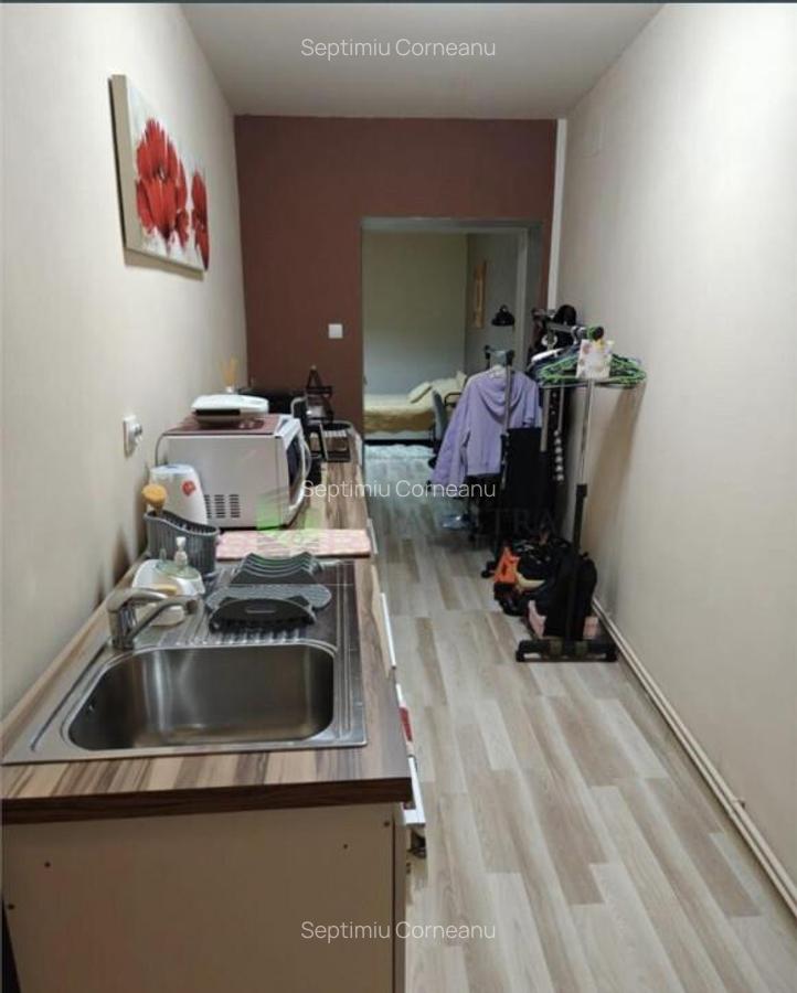 Studio Centru Istoric, Muresenilor,91000 Euro - 3