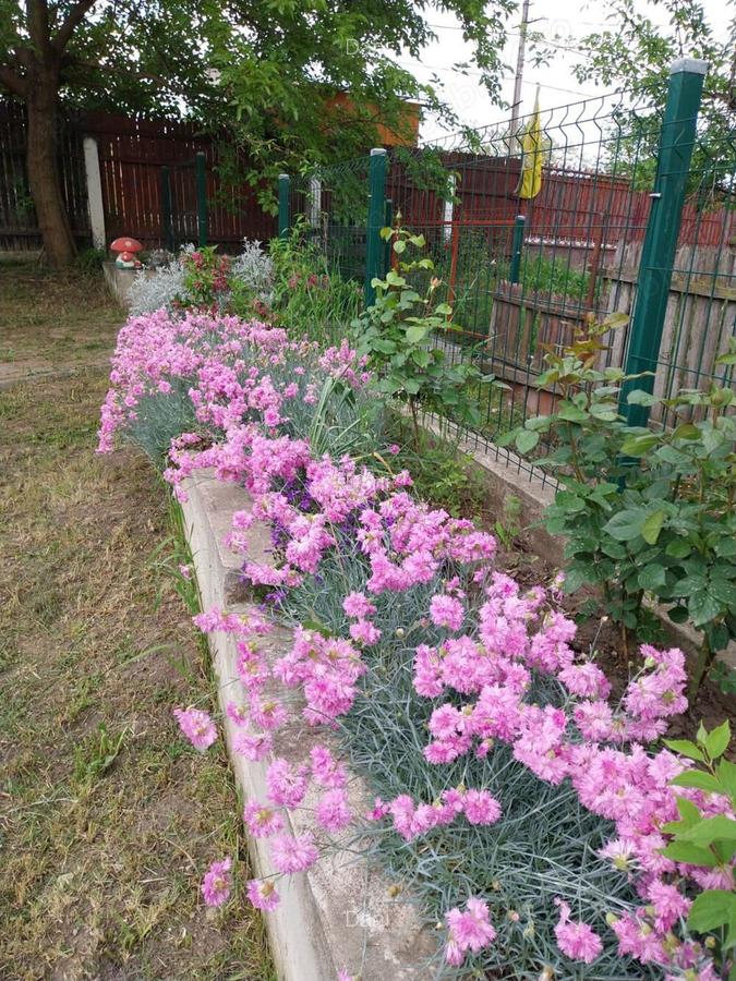 Vand vila an 2017 judet Buzau - 2