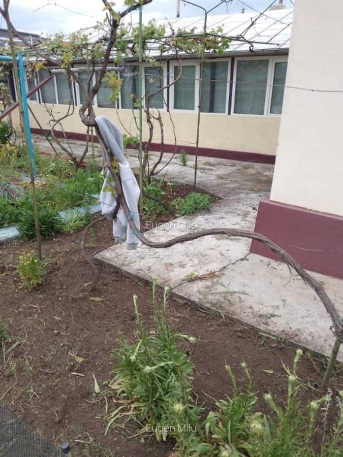 Casa de vanzare in Garbovi, jud. Ialomita - la doar 70 km de Bucuresti! - 8