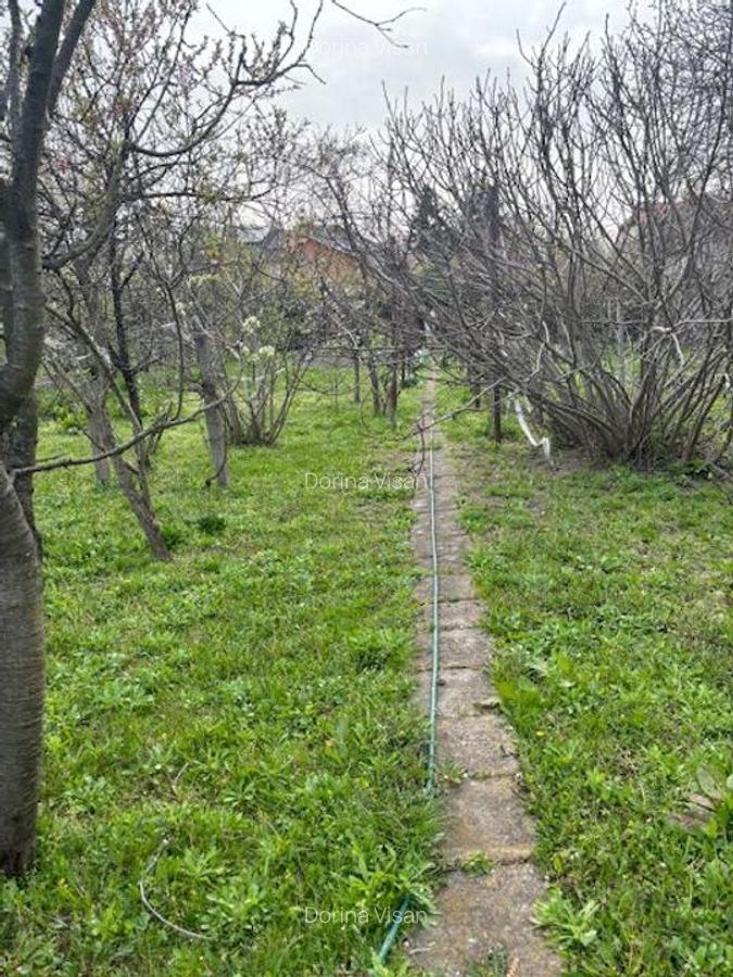 Casa individuala cu teren generos - 13