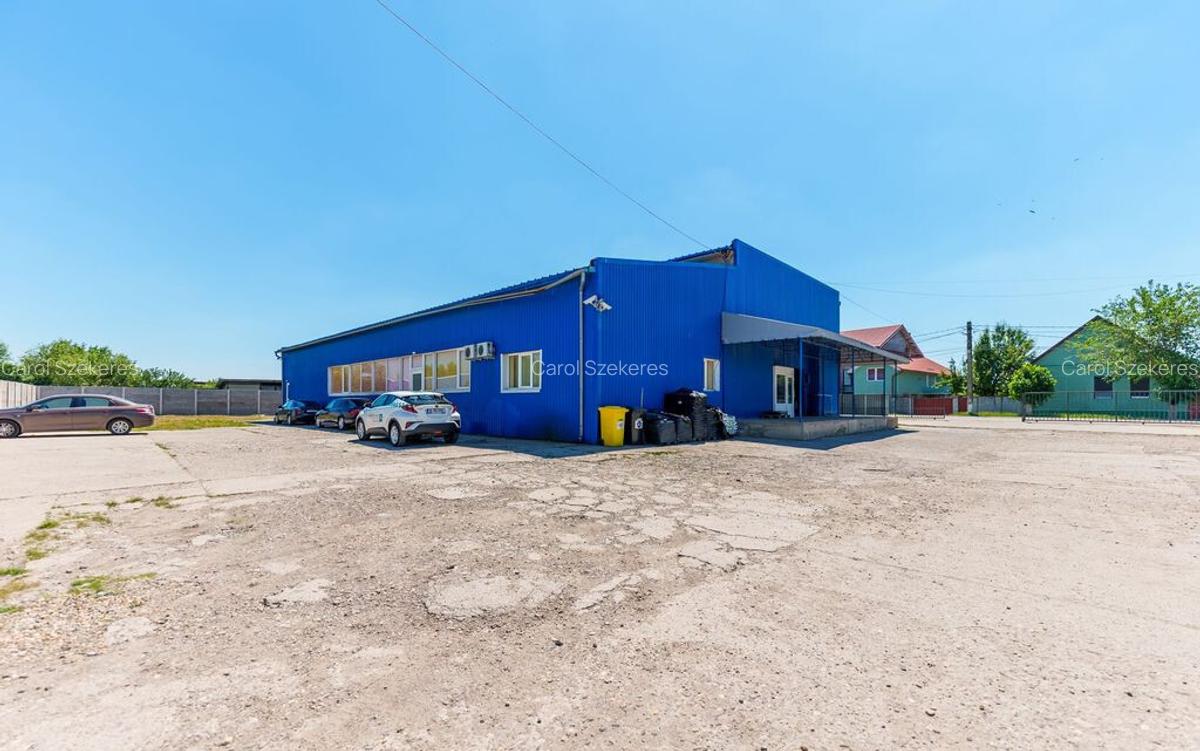 Depozit frigo de inchiriat in Sacalaz - 10