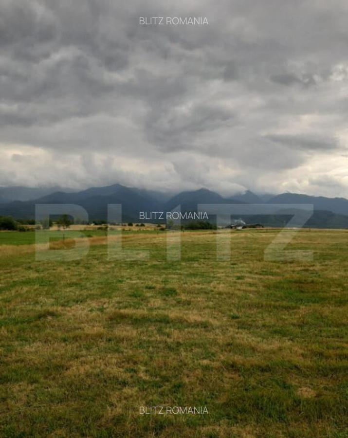 Teren extravilan 8600 mp, Car?i?oara- Coasta lui Nache - 4