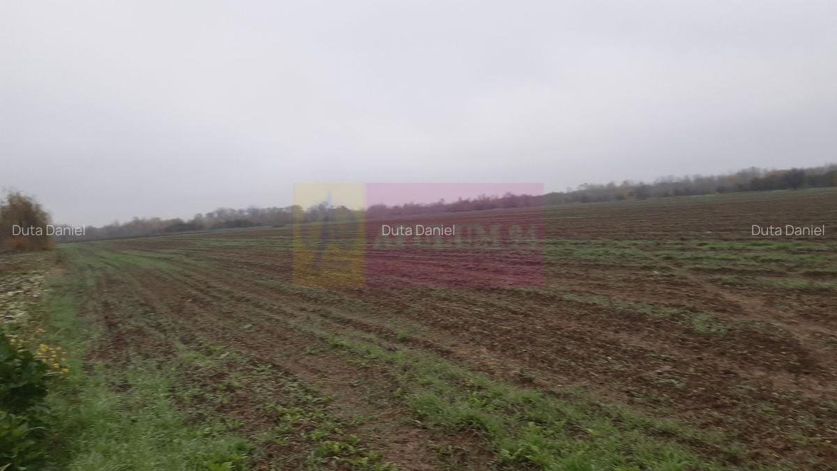 Teren Investiție aproape de București - 6