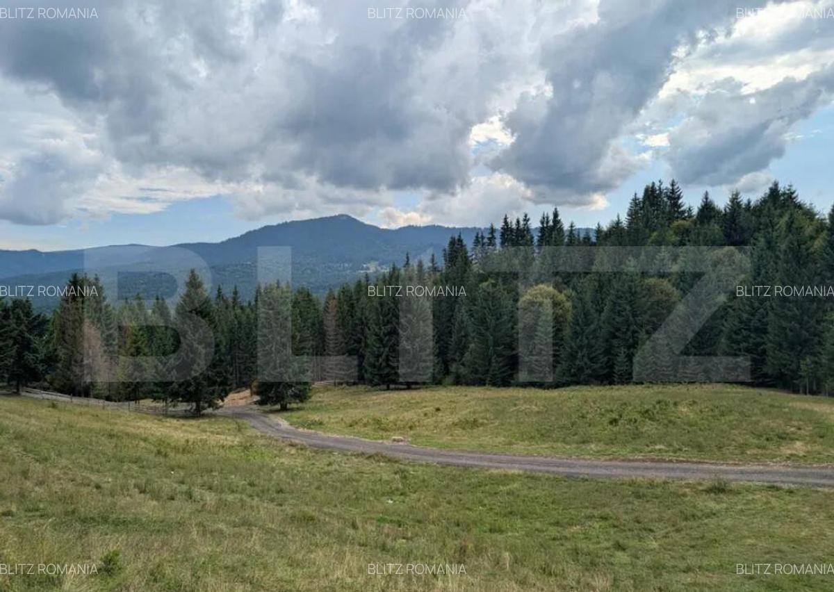 Teren intravilan de vanzare in Colibi?a oportunitate - 3 Teren intravilan de vanzare in Colibi?a oportunitate - 3