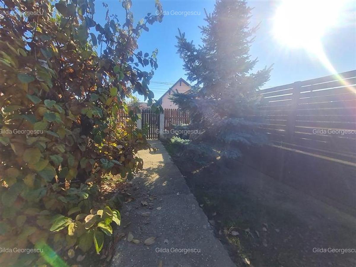 Doua casute tip A Frame, totul pe un teren de 300 mp, Ghimbav, Brasov - 6